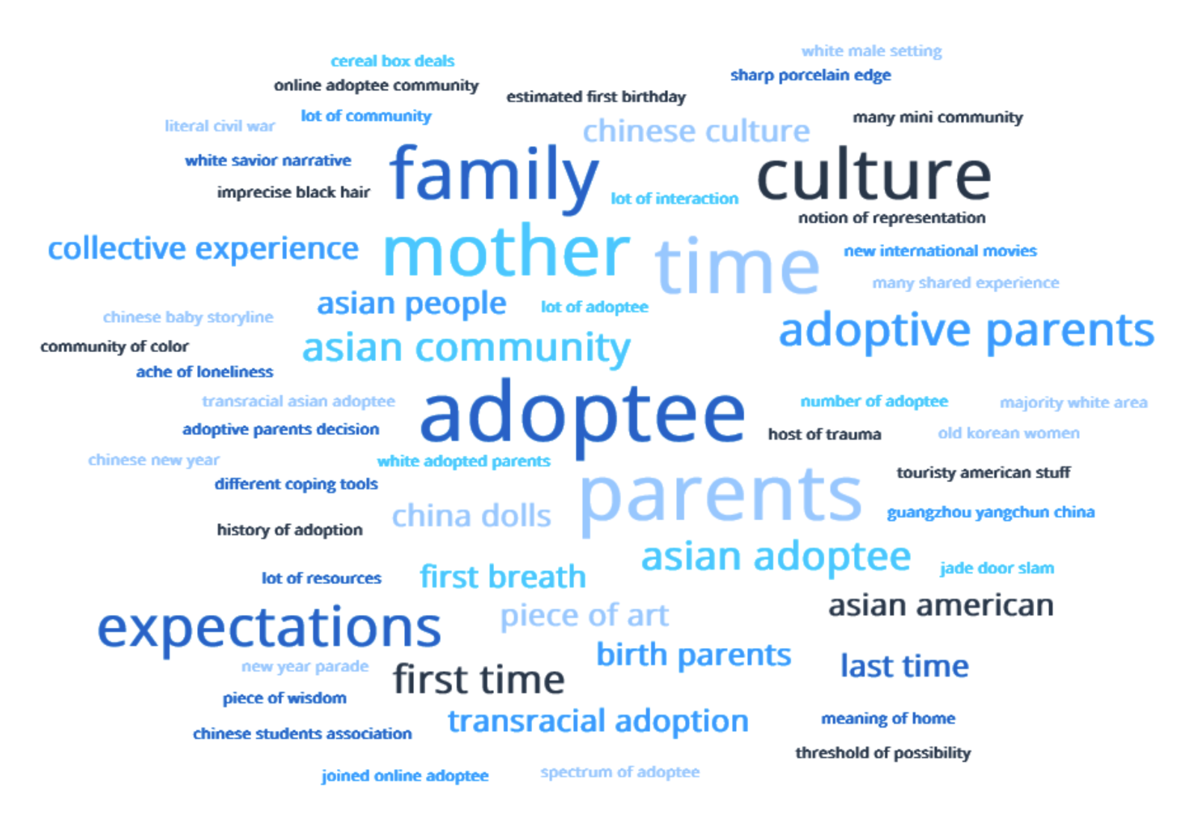 Word Map on Family, Adoption, and Culture